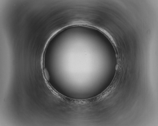 X0000116570815200912171502