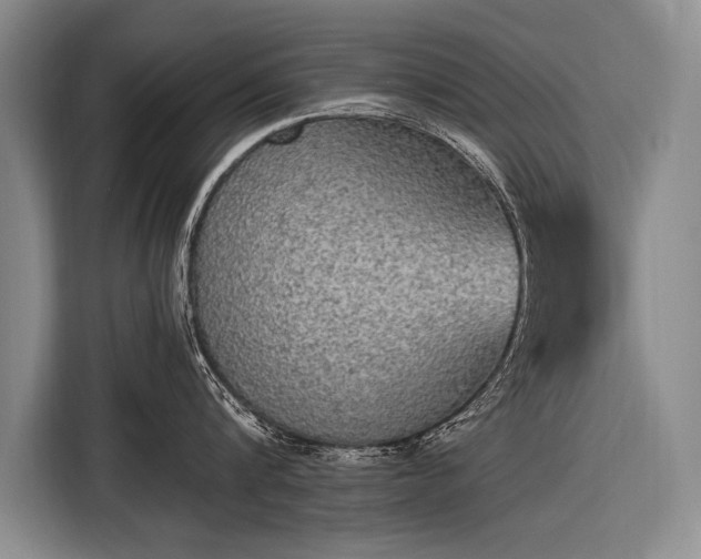 X0000116570816200912171502