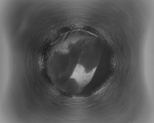 X0000116570818200912171502