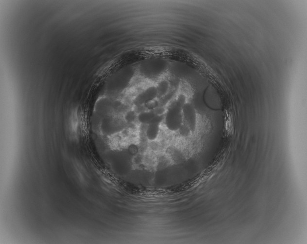 X0000116570819200912171502