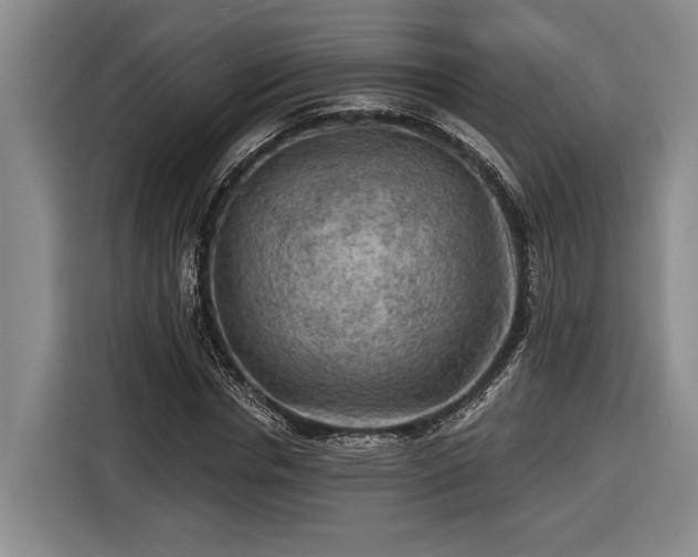 X0000116570826200912171502