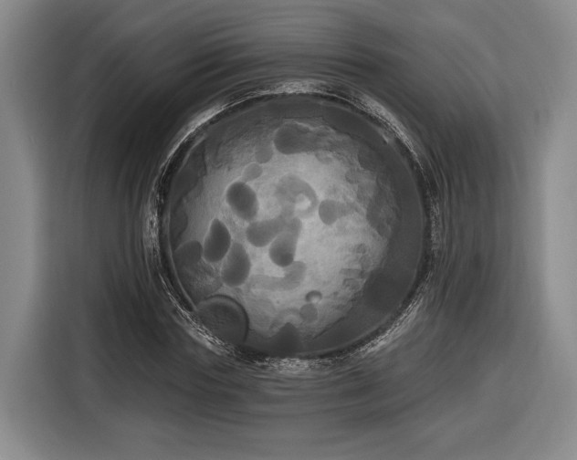 X0000116570827200912171502