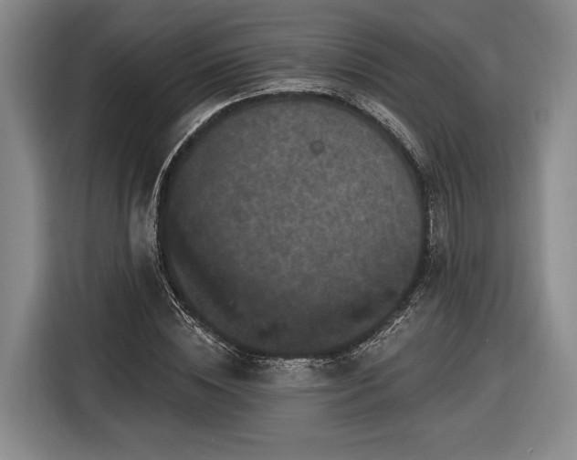 X0000116570828200912171502