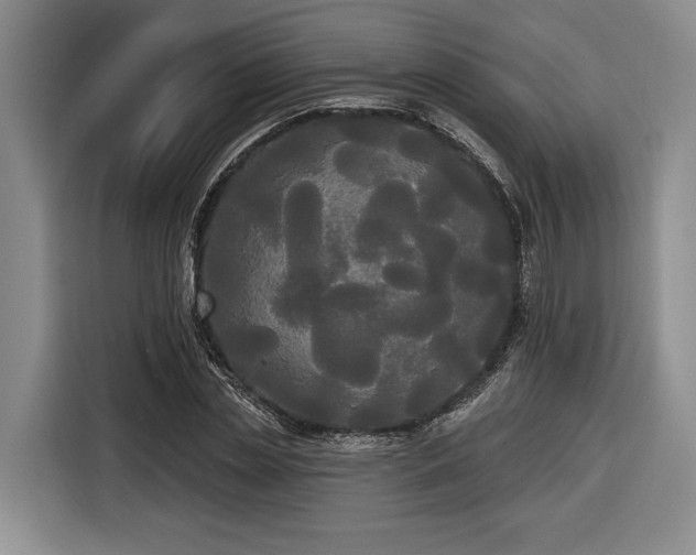 X0000116570829200912171502