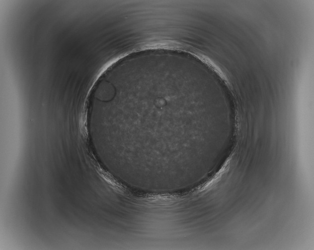 X0000116570830200912171502