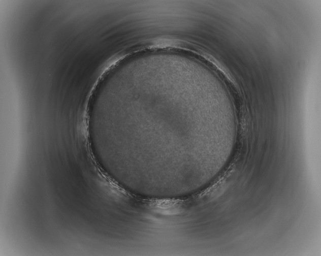 X0000116570832200912171502