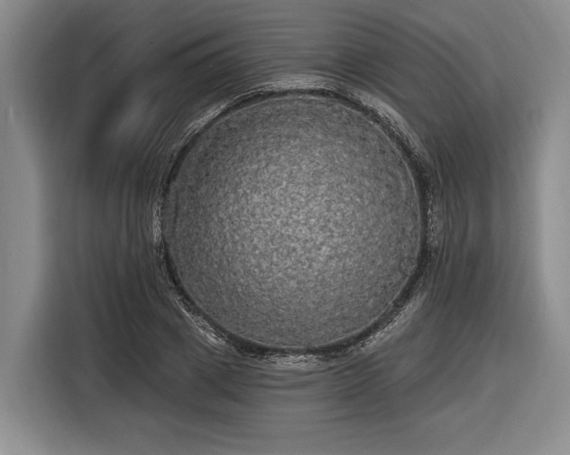 X0000116570833200912171502