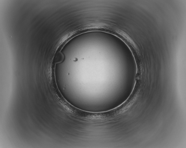 X0000116570834200912171502