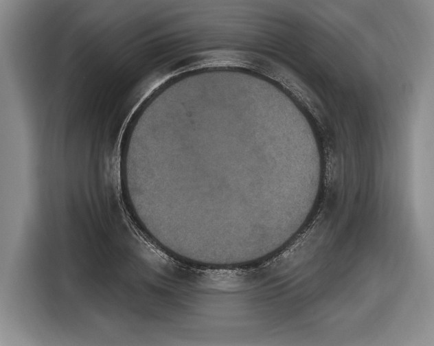 X0000116570836200912171502