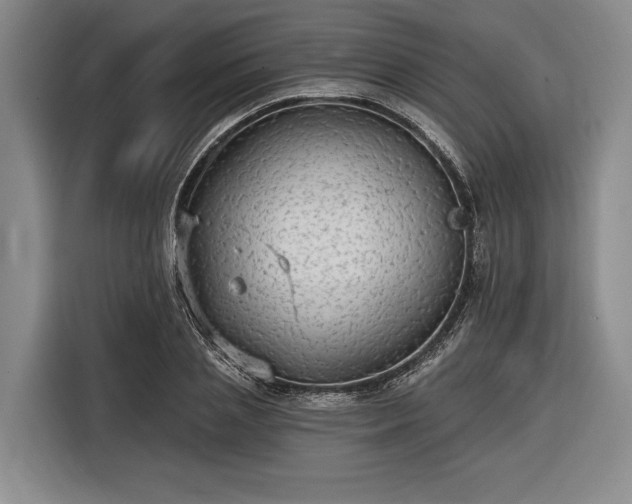 X0000116570837200912171502