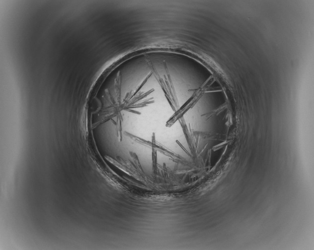 X0000116570838200912171502