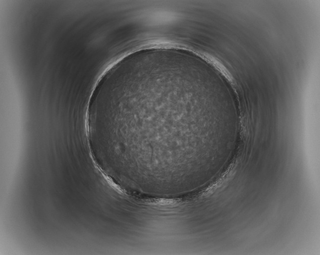 X0000116570839200912171502