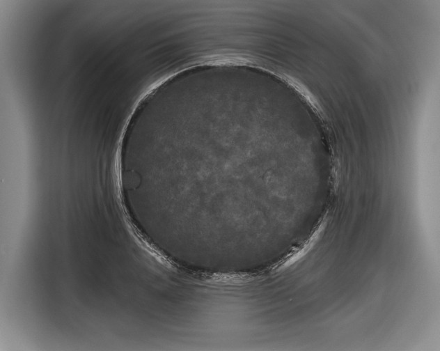 X0000116570840200912171502