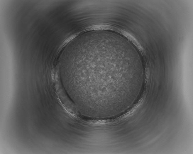 X0000116570841200912171502