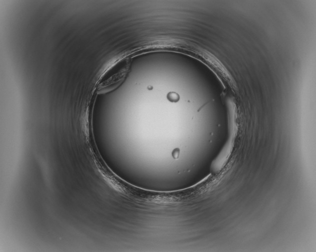 X0000116570842200912171502