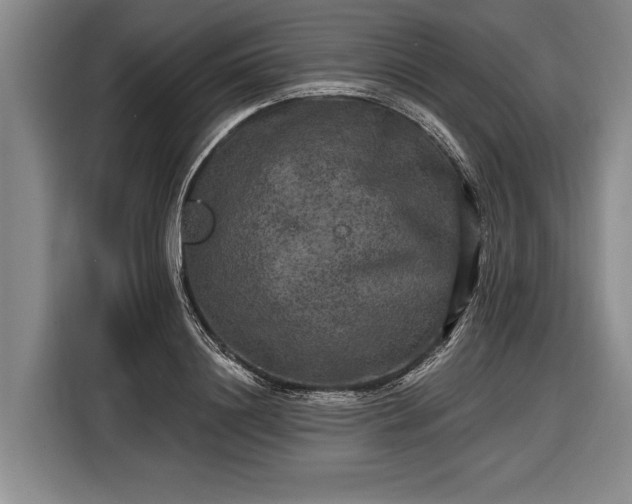 X0000116570844200912171502