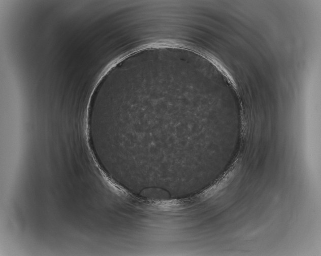 X0000116570845200912171502