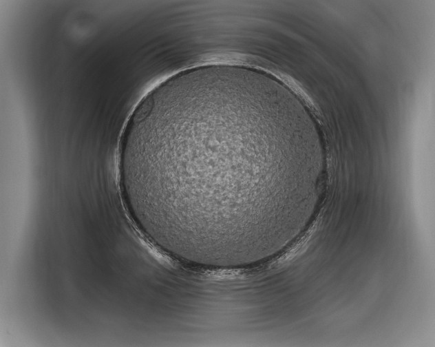 X0000116570846200912171502