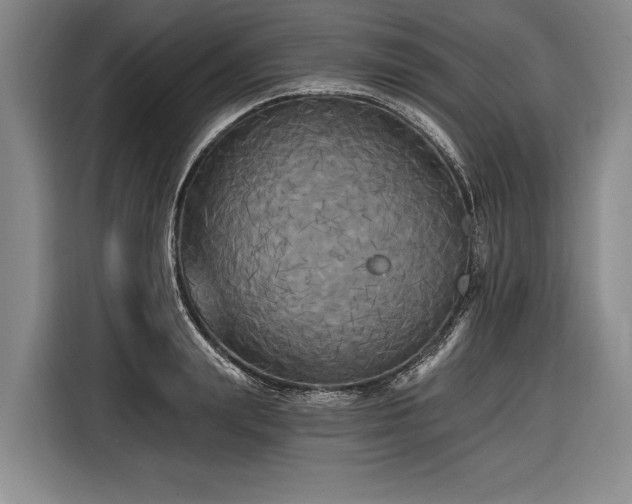 X0000116570847200912171502