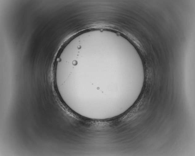 X0000116570848200912171502