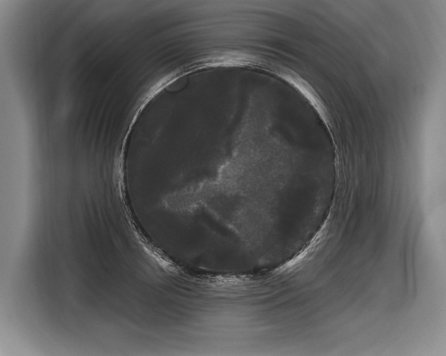 X0000116570850200912171502