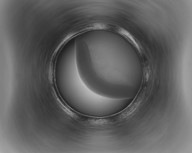 X0000116570851200912171502