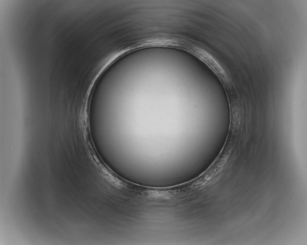 X0000116570852200912171502