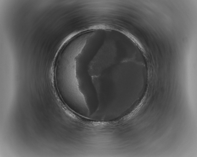 X0000116570854200912171502