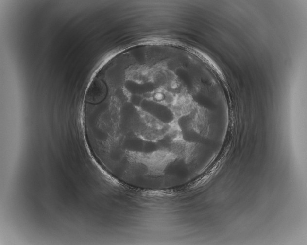 X0000116570855200912171502