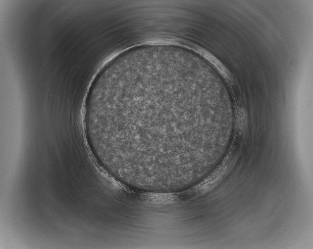 X0000116570856200912171502