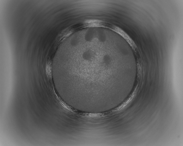 X0000116570857200912171502