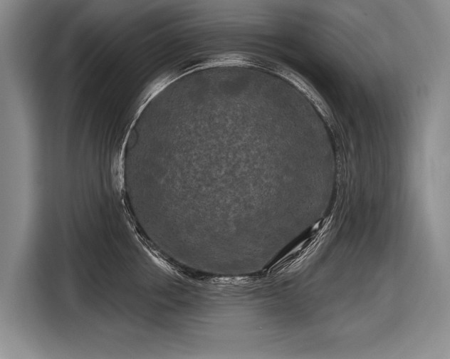 X0000116570858200912171502