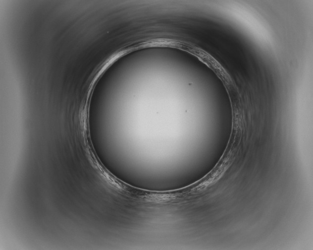 X0000116570860200912171502