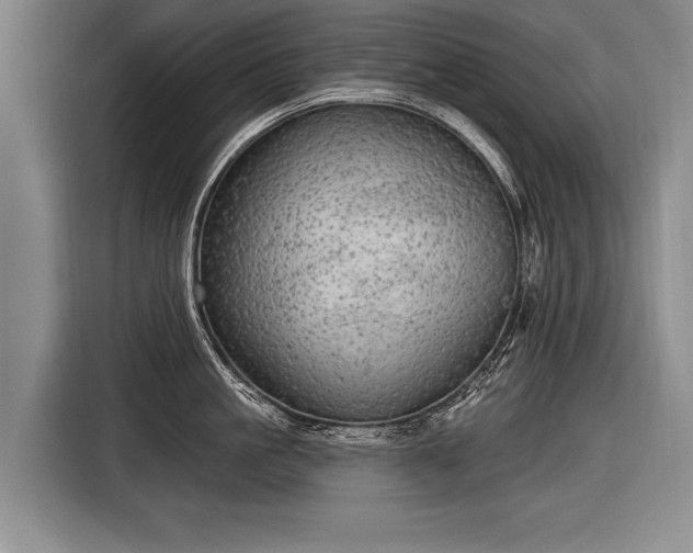 X0000116570861200912171502