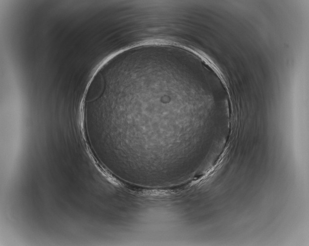 X0000116570862200912171502