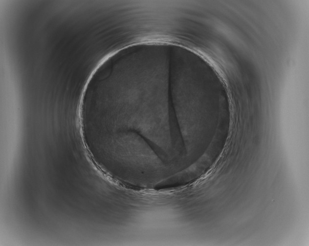 X0000116570864200912171502