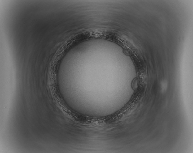 X0000116570865200912171502