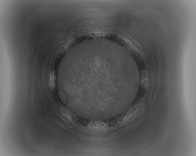 X0000116570866200912171502