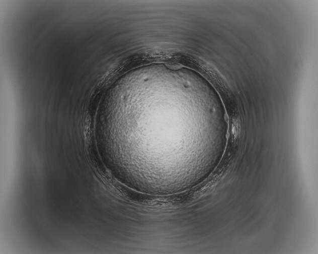 X0000116570867200912171502