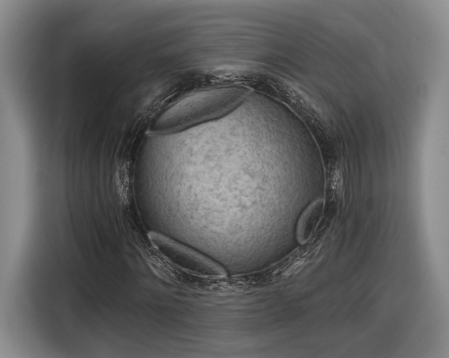 X0000116570868200912171502