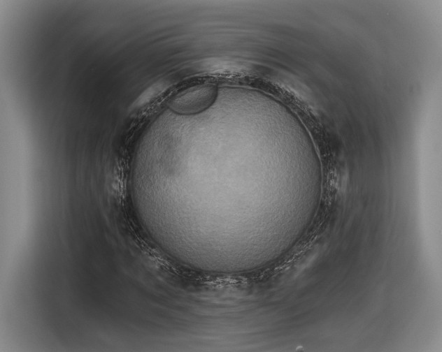 X0000116570869200912171502