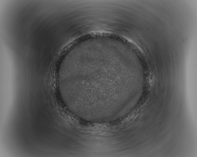 X0000116570870200912171502