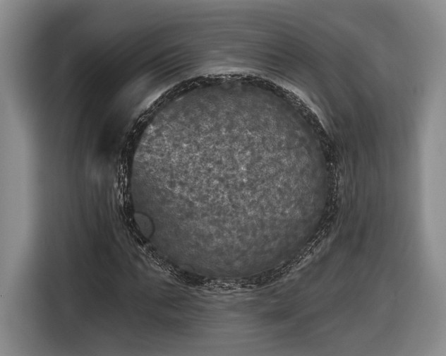 X0000116570871200912171502