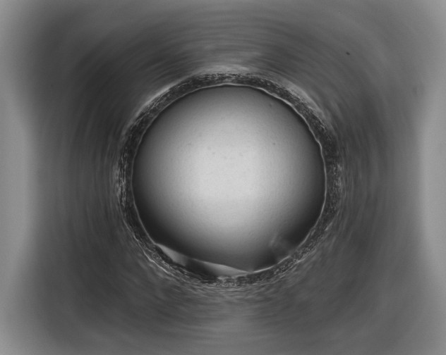 X0000116570872200912171502