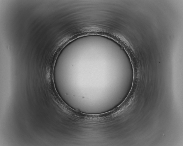 X0000116570873200912171502