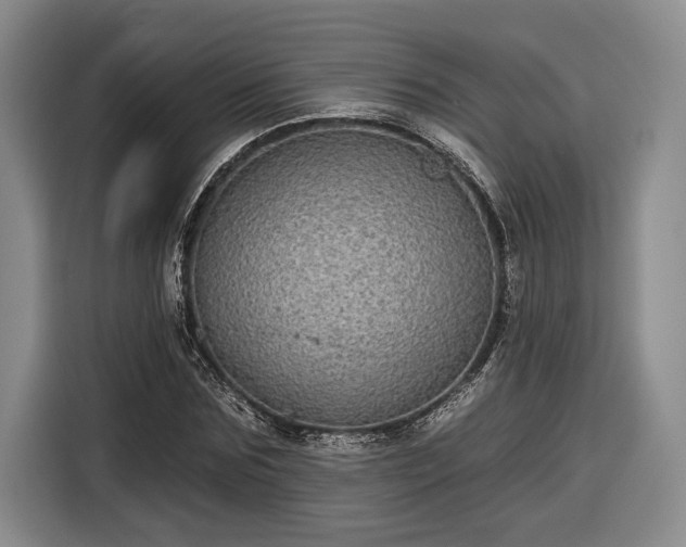 X0000116570875200912171502