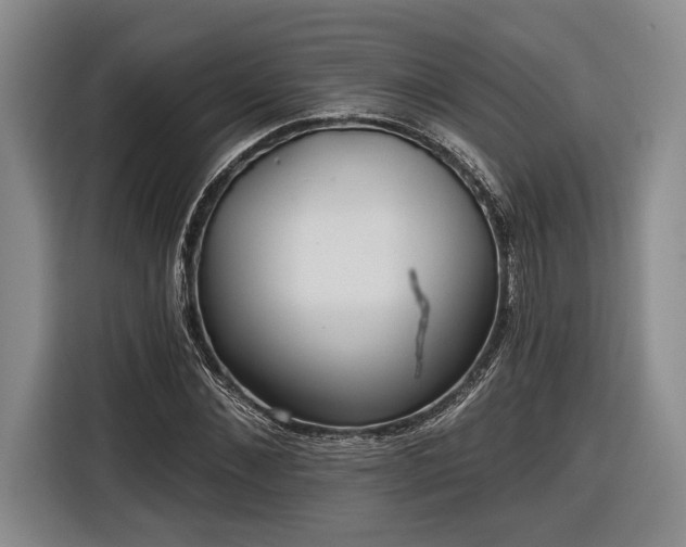 X0000116570876200912171502