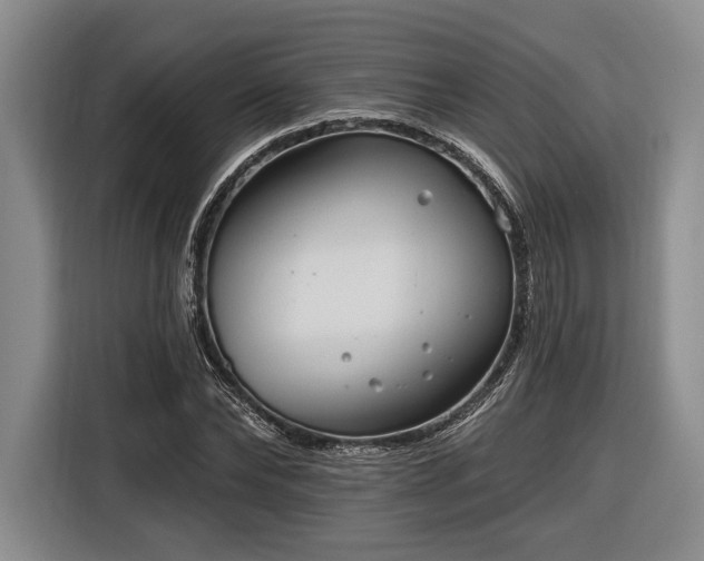 X0000116570878200912171502