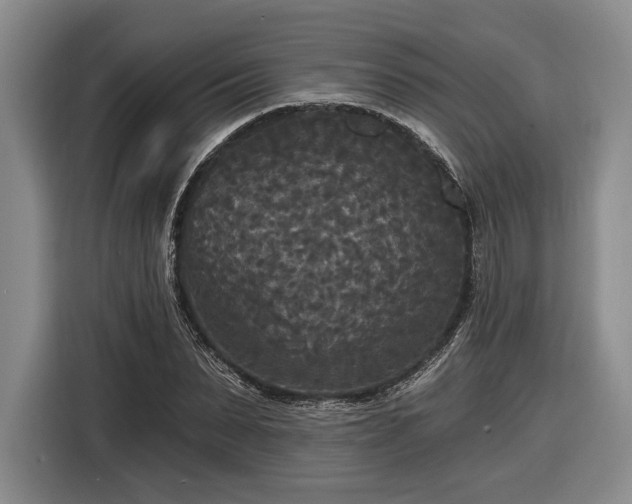 X0000116570879200912171502