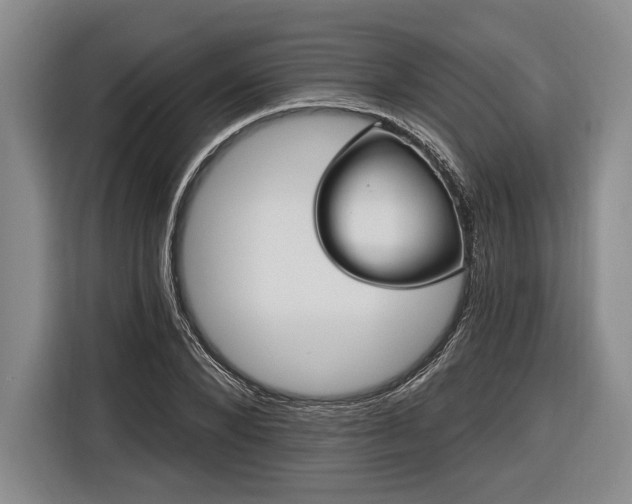 X0000116570880200912171502